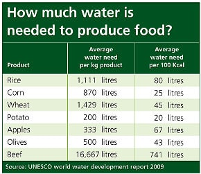 The UNESCO World Water Development Report 2009 shows that potatoes use much less water than other carbohydrates. See Table below." width="290" height="251"The UNESCO World Water Development Report 2009 shows that potatoes use much less water than other carbohydrates. See Table below.