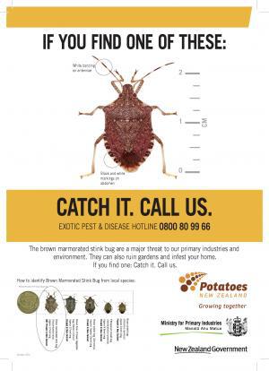 hot topics stinkbug a5 advert