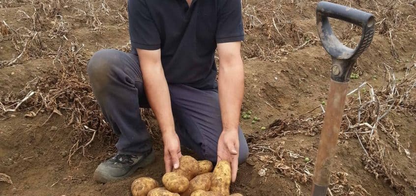 PNZ2-Conference-update-John-Sarup