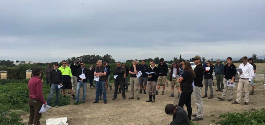 PNZ4-image-S-Sinton-Seadown