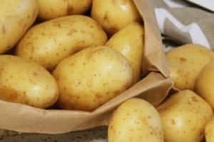 Fresh yellow potatoes spilling out of a brown bag