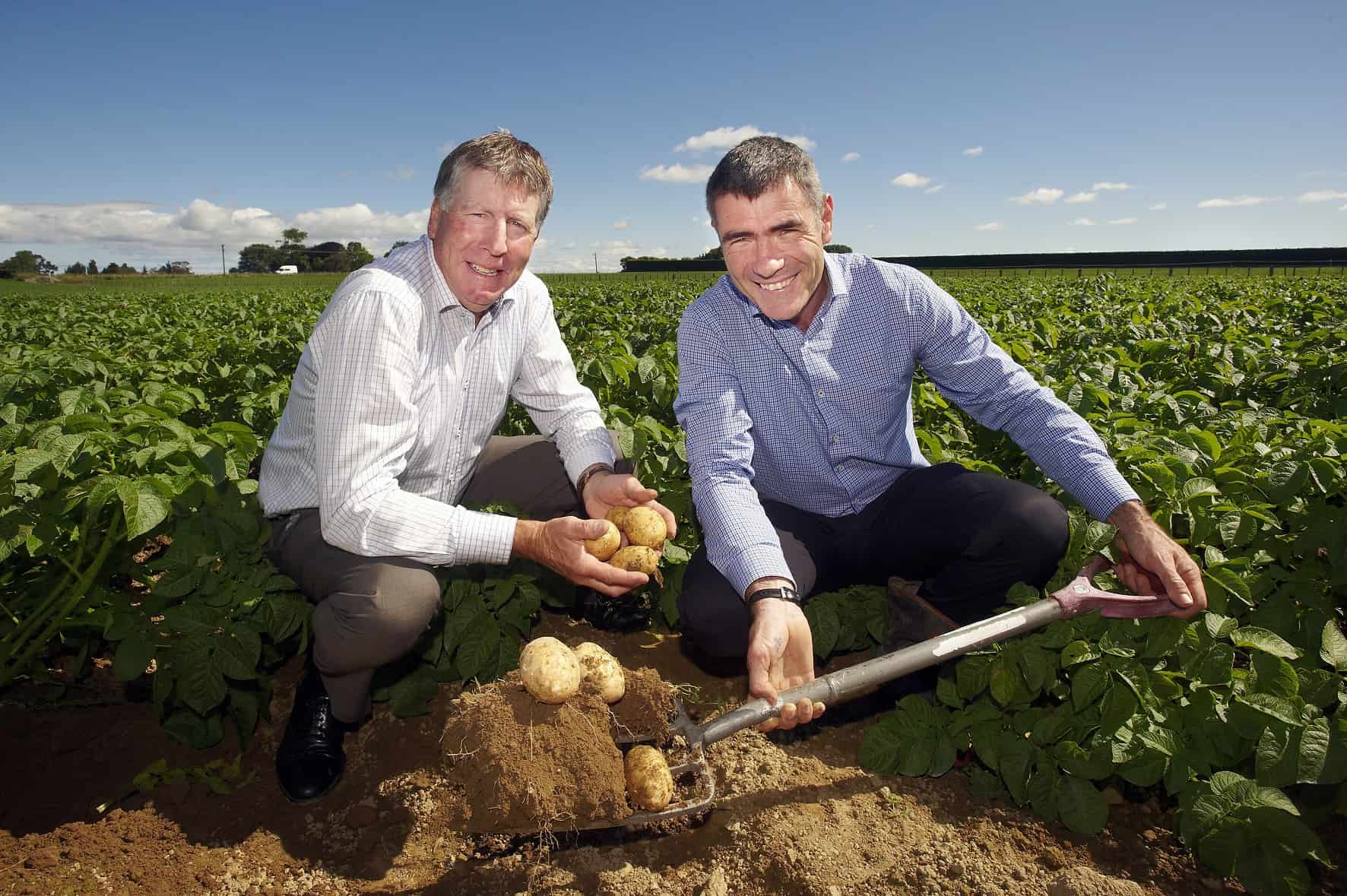 Stuart Wright and Hon Nathan Guy dig potatoes