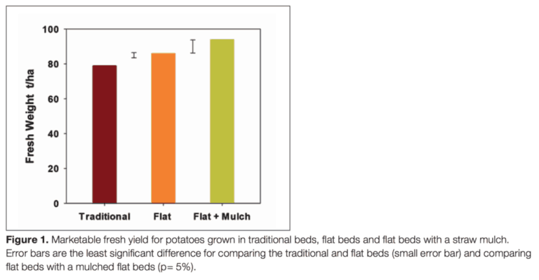 Bar chart showing fresh potato yield by traditional, flat, and mulched beds