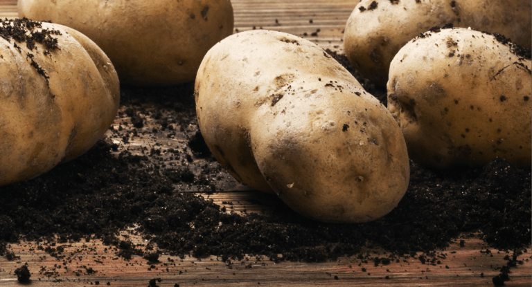 Potaotes white cropped