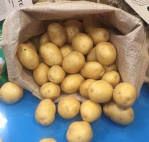 PNZ1 Potato Chat Image