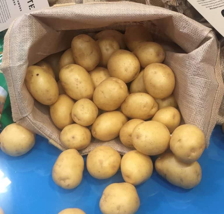 PNZ1 Potato Chat Image