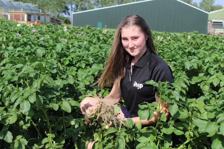 Young woman holding freshly harvested potatoes in green field