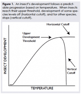 Graph showing insect development response to temperature thresholds.