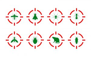 Green pest insects and rat icons in red crosshair targets vector