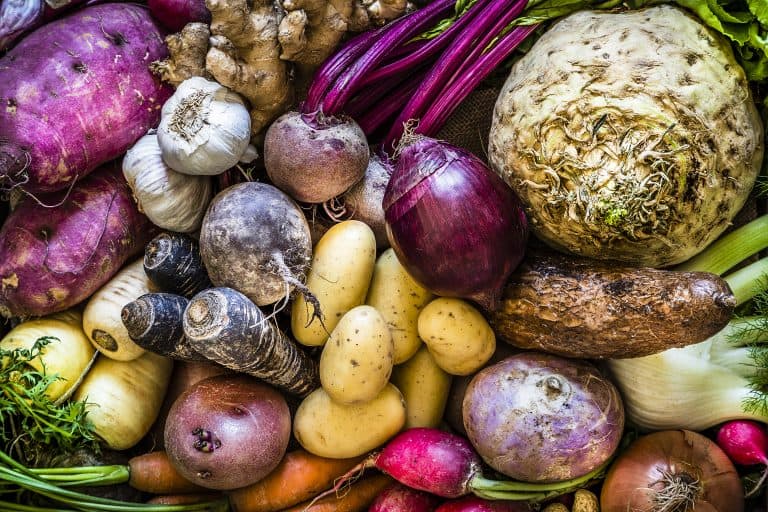 Top view of a large group of multicolored fresh organic roots, legumes and tubers shot on a rustic wooden background. The composition includes potatoes, Spanish onions, ginger, purple carrots, yucca, beetroot, garlic, peanuts, red potatoes, sweet potatoes, golden onions, turnips, parsnips, celeriac, fennels and radish.Some elements are on a rustic wooden crate. Low key DSLR photo taken with Canon EOS 6D Mark II and Canon EF 24-105 mm f/4L
