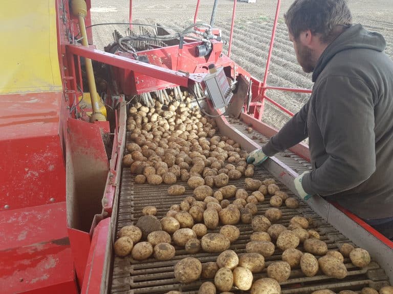 G 2 Annat Farms new photos 20180217_085301