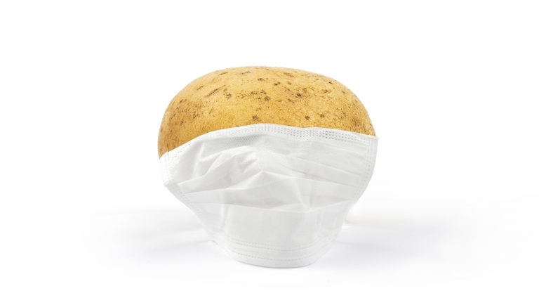 Coronavirus global mask pandemic white background