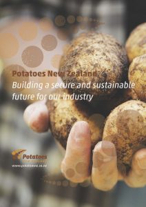 Close-up of hand holding freshly harvested dirty potatoes, Potato industry.