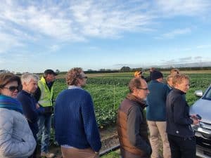 Group of people observing crops in green agricultural field outdoors
