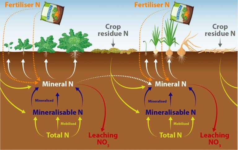 Nitrogen infographic FINAL