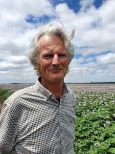 Elderly man standing in a blooming potato field under cloudy sky
