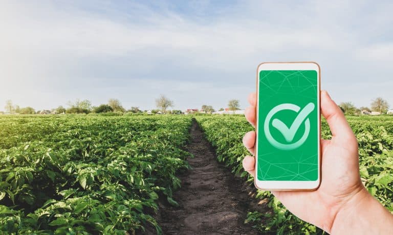 Phone with a quality mark on a farm plantation. Growing organic vegetables. Control permissible doses of harmful chemicals. Certification of agricultural products. High crop quality. Ready to harvest