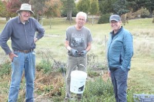 Three men gardening outdoors, holding tools and a bucket.
