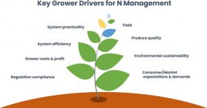 Plant diagram showing key grower drivers for nitrogen management.