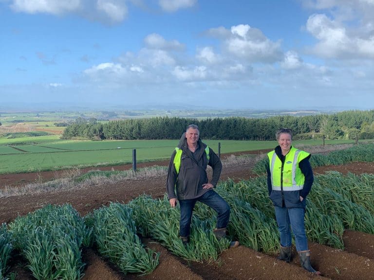 Two farmers in high-visibility vests standing in green field rows