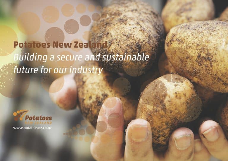 Hands holding freshly harvested dirty potatoes, Potatoes New Zealand logo.