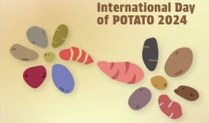 International Day of Potato