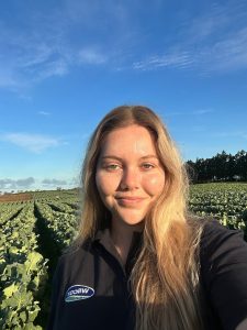 work photo