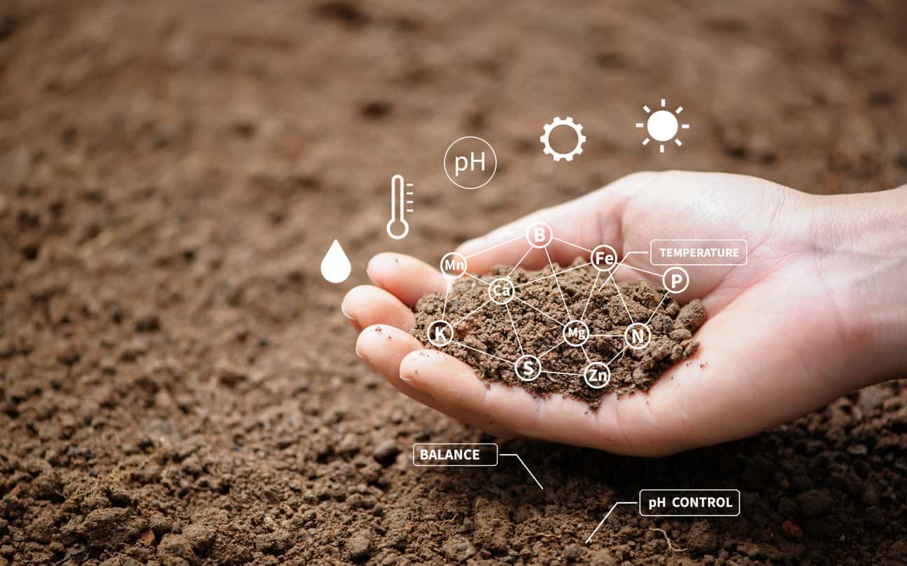 Soil health