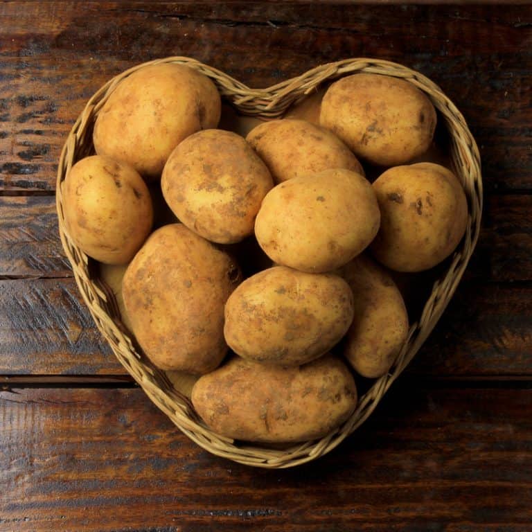 pile of fresh and raw potatoes harvested from plantation and placed in heart shaped wicker basket on wooden table. Top view.