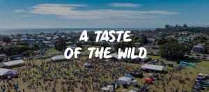 Aerial view of outdoor festival with tents and crowd.