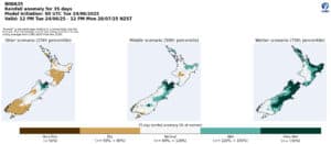 Rainfall anomaly forecast maps for New Zealand, June-July 2025