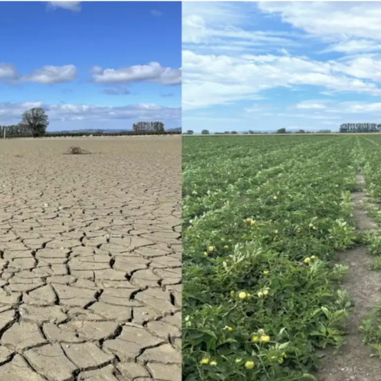 Cyclone Gabrielle Research Symposium
