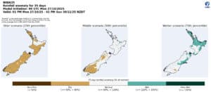 Rainfall anomaly map New Zealand 35-day forecast October-November 2025