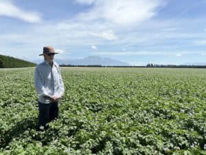 Man wearing hat and sunglasses standing in green crop field under blue sky