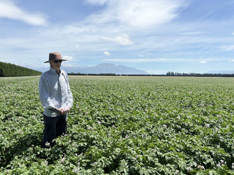 Man wearing hat and sunglasses standing in green crop field under blue sky