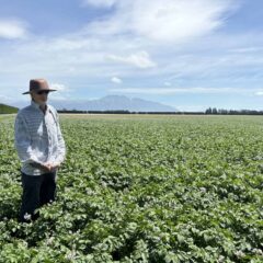Cyril in Seed potato paddock