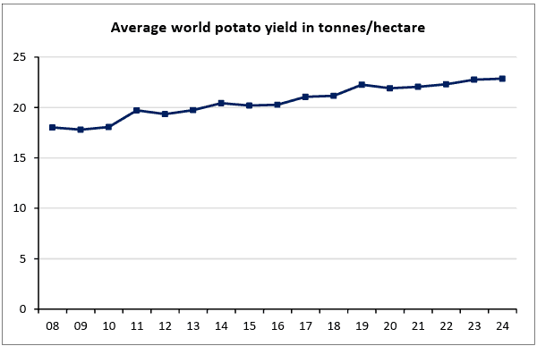 Average world potato yield in tonnes per hectare