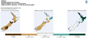 New Zealand 35-day rainfall anomaly forecast with dry, normal, and wet scenarios