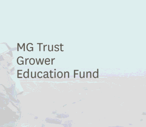 Screenshot 2026-03-01 212916