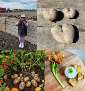 Valentines day winners