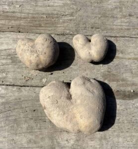 potato hearts