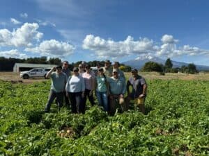 Group of farmers standing in lush green potato field with mountain backdrop