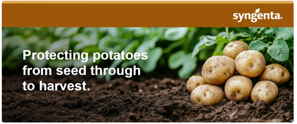 Syngenta